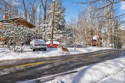 701 Charter Hills Road Beech Mountain NC 28604