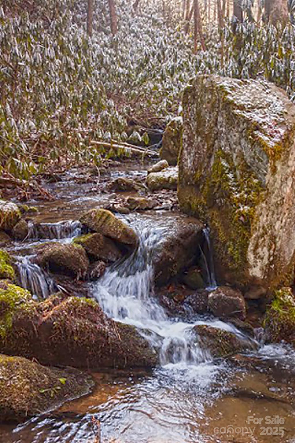 3076 Anderson Cove Road Marshall NC 28753