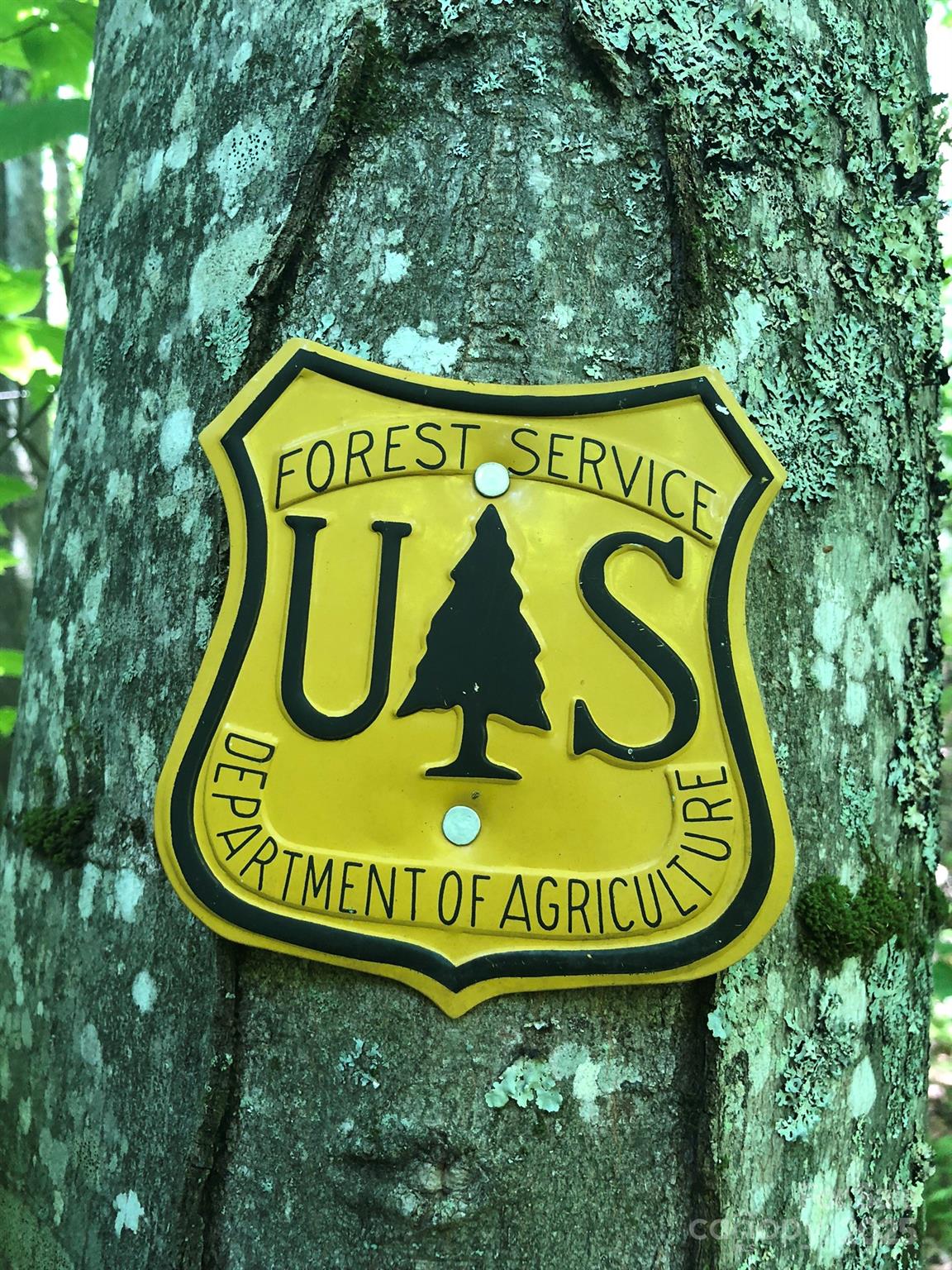 3076 Anderson Cove Road Marshall NC 28753