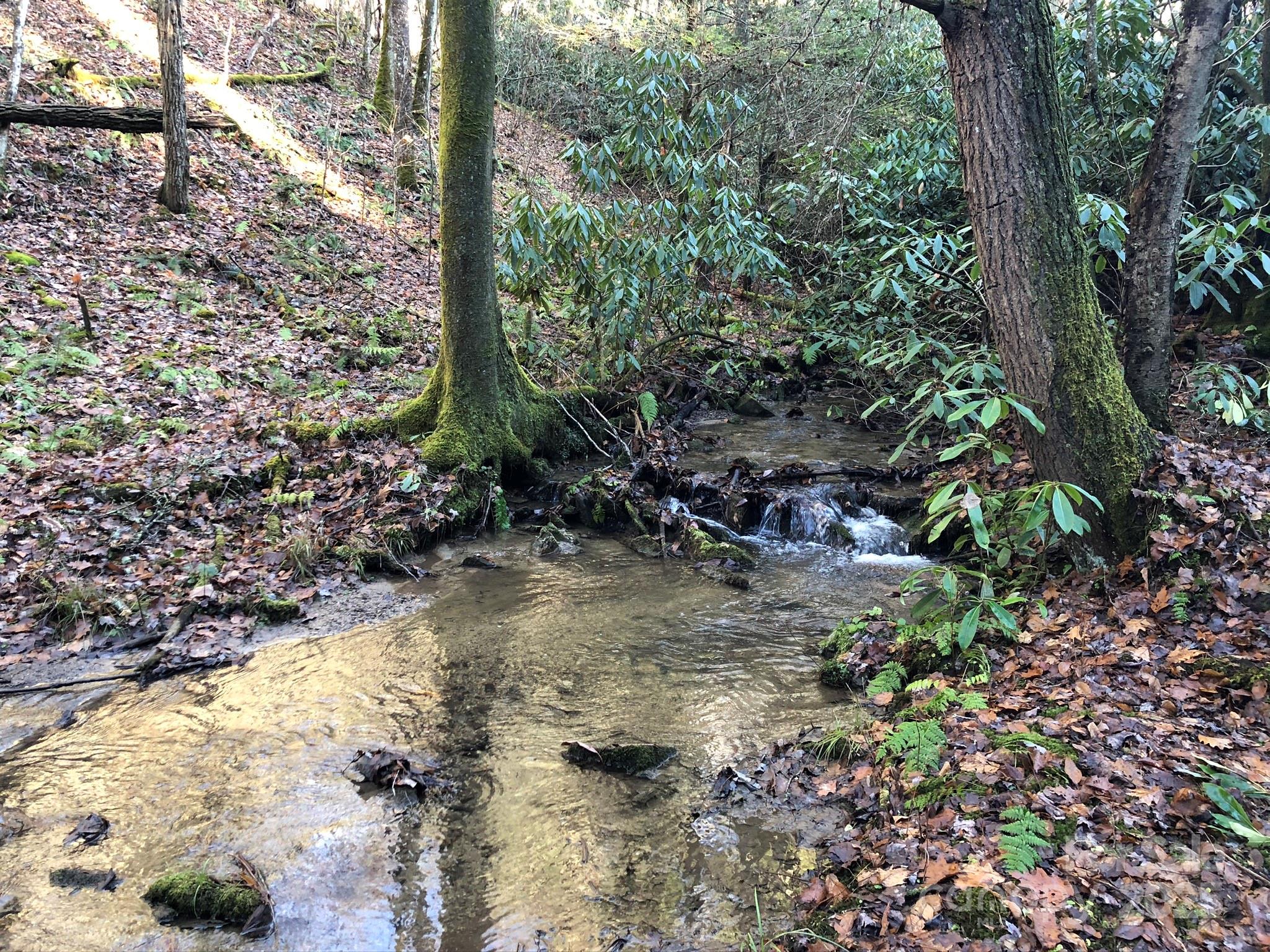 3076 Anderson Cove Road Marshall NC 28753