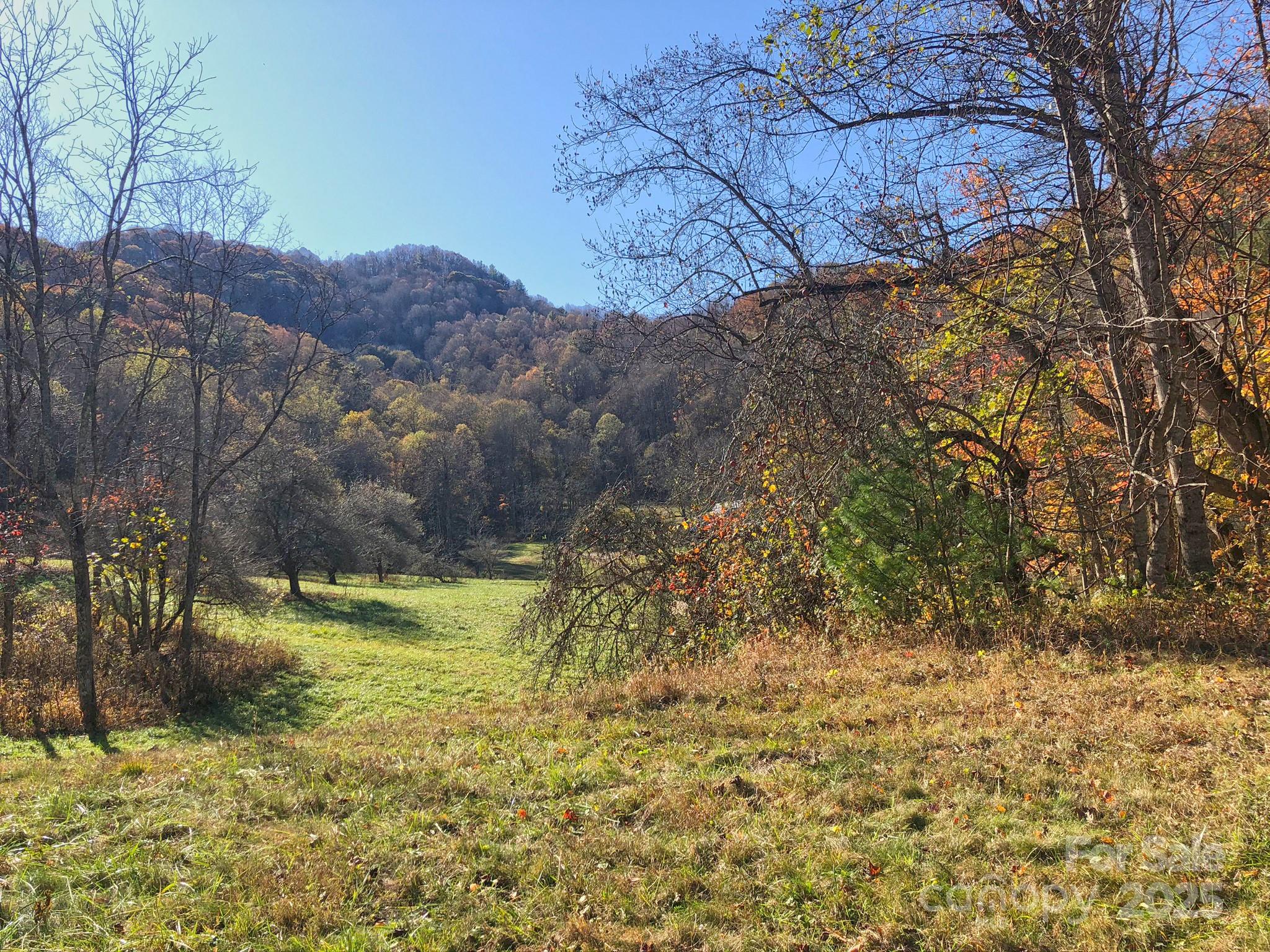 3076 Anderson Cove Road Marshall NC 28753