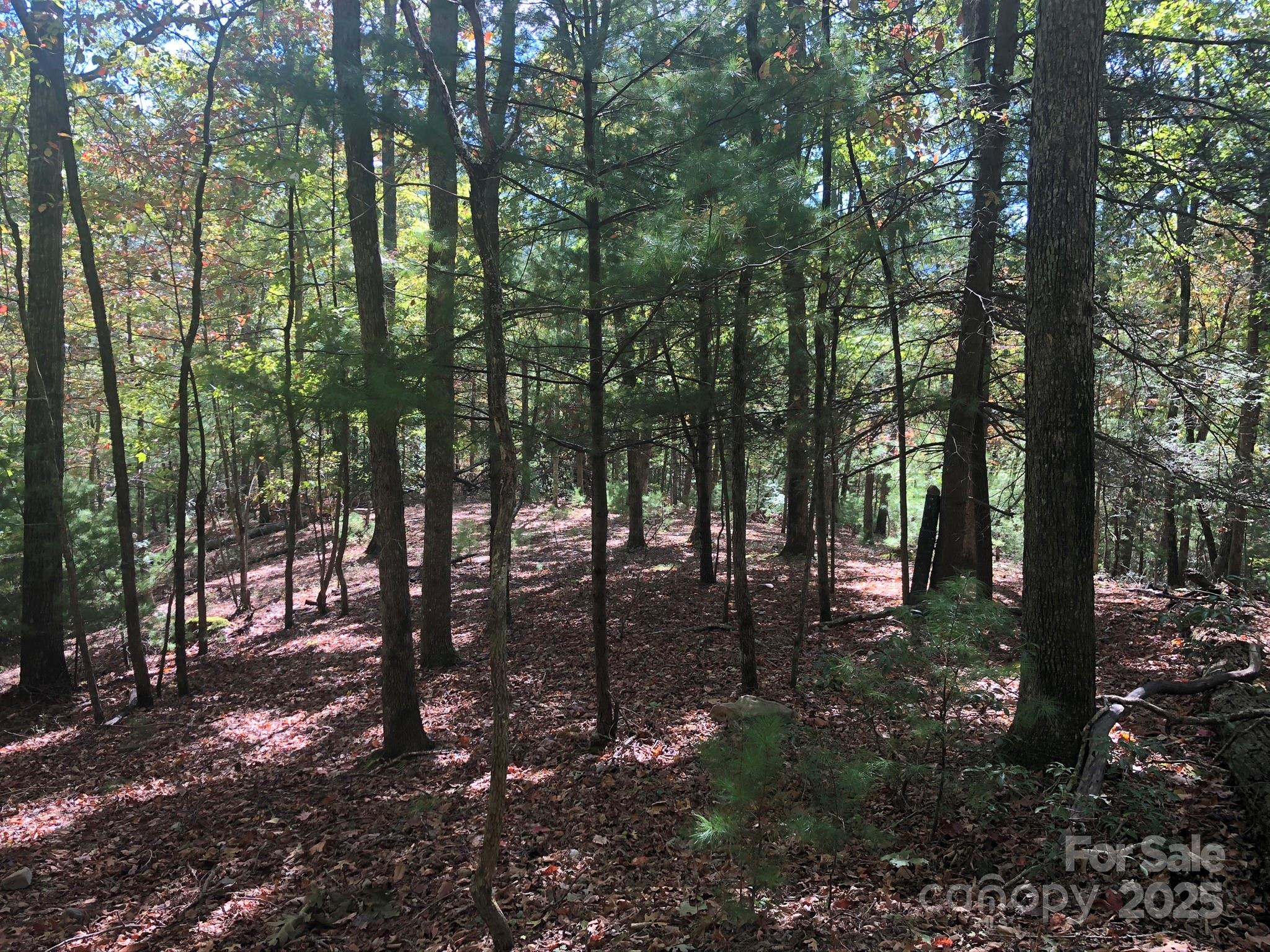 3076 Anderson Cove Road Marshall NC 28753