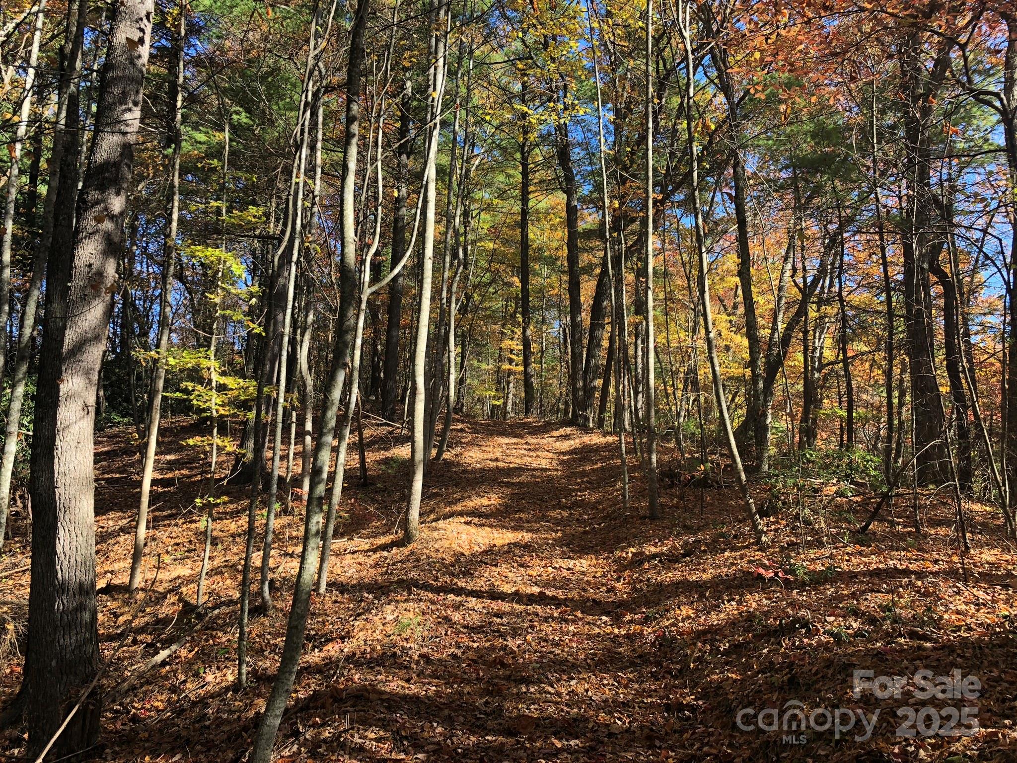 3076 Anderson Cove Road Marshall NC 28753