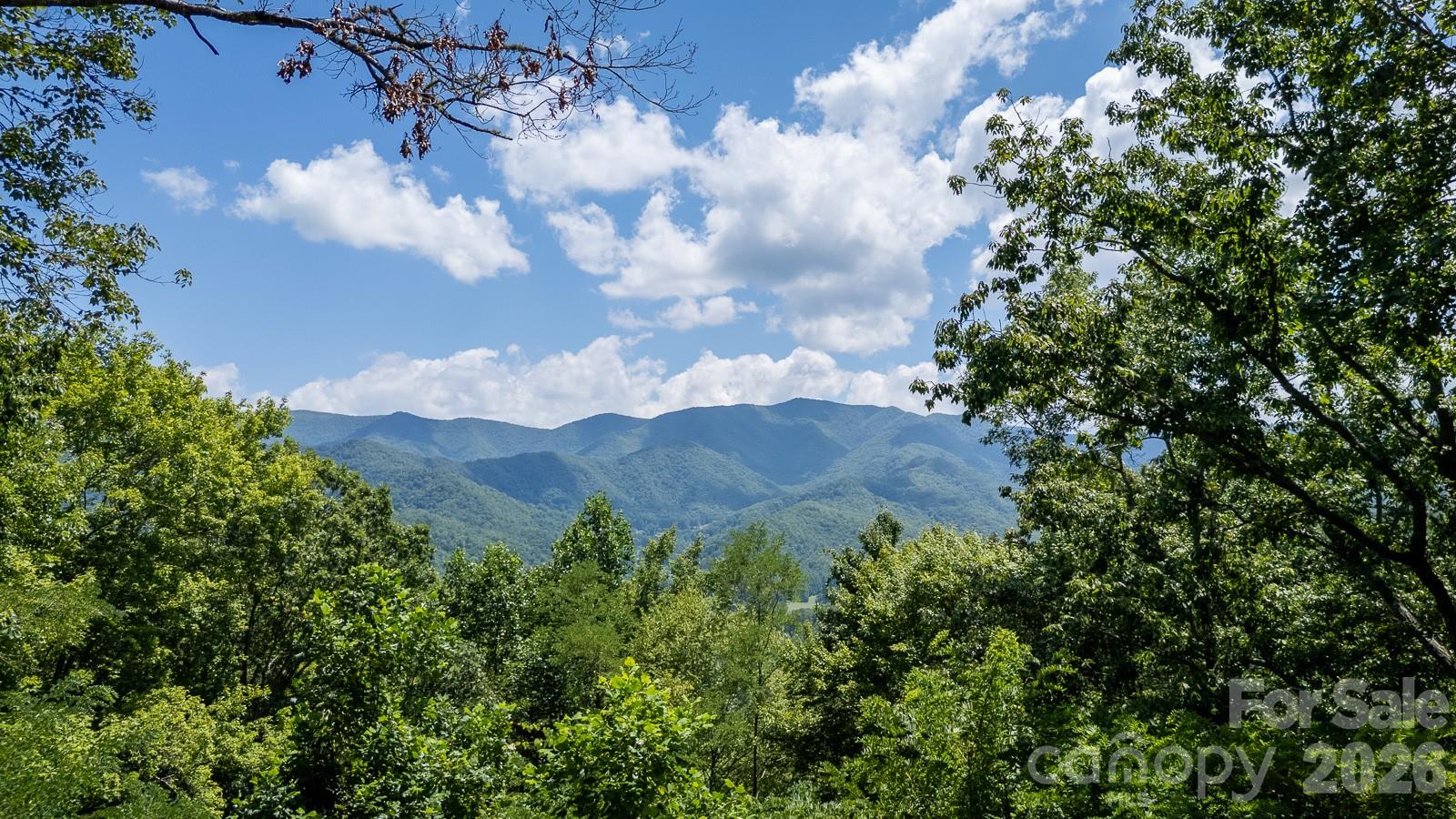 146 W Stecoah Heights Robbinsville NC 28771