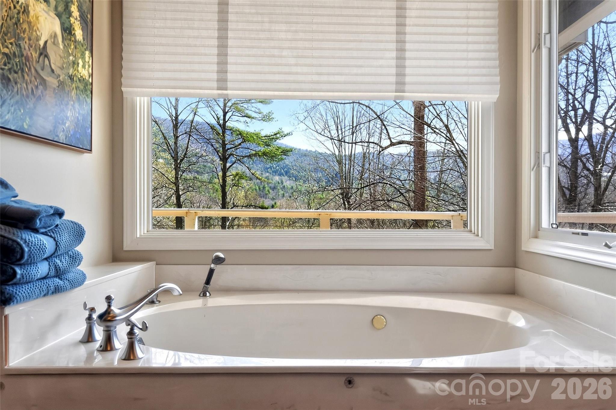 525 Blue Ridge Drive N Marion NC 28752