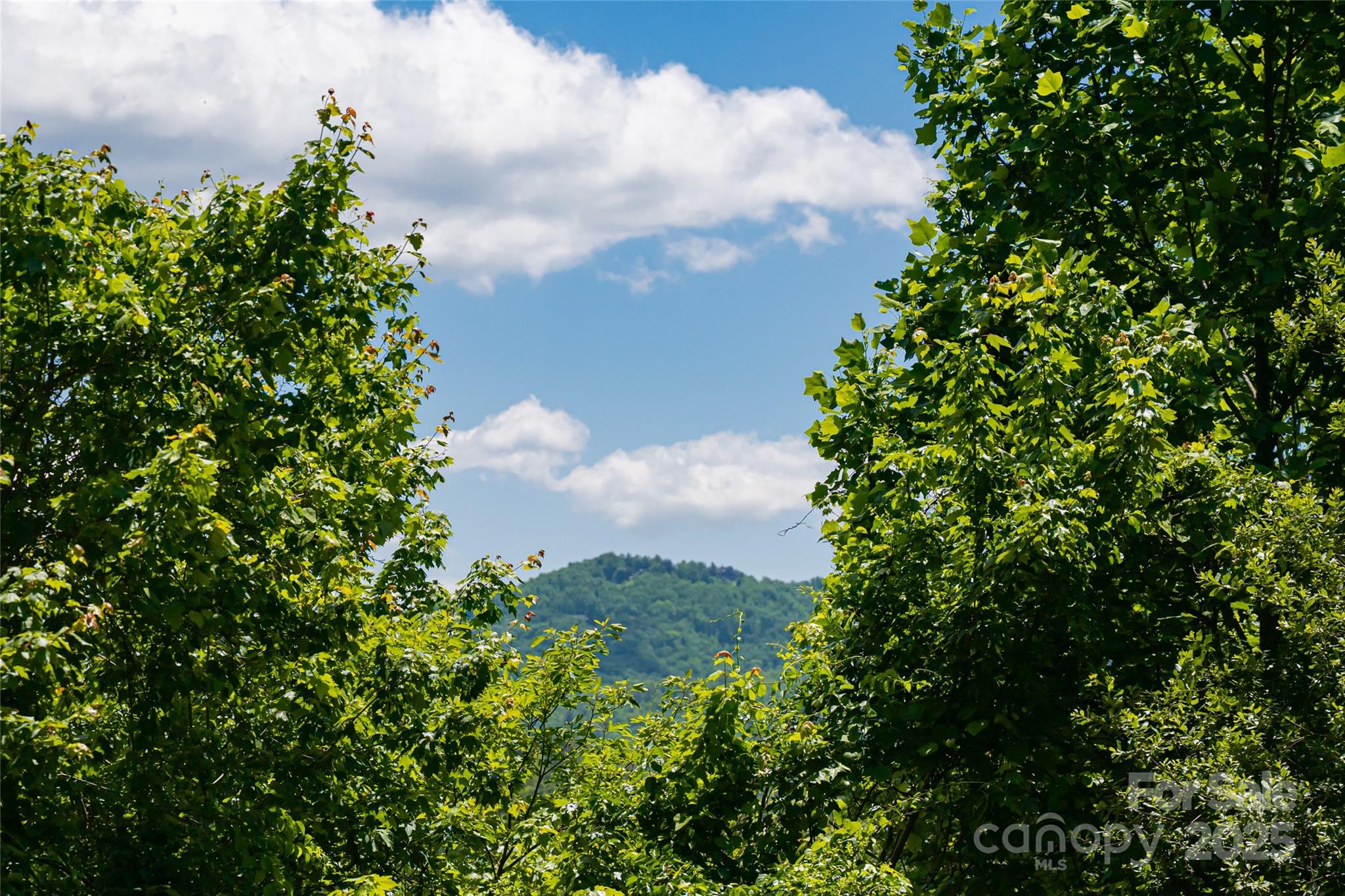 2117 Deep Woods Drive Hendersonville NC 28739