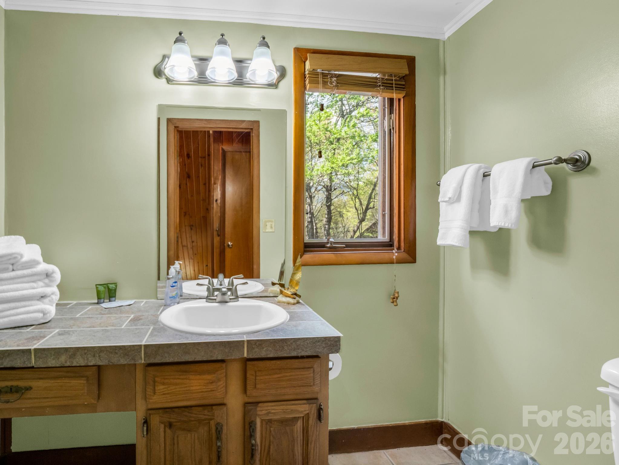 307 Watership Road Lake Lure NC 28746