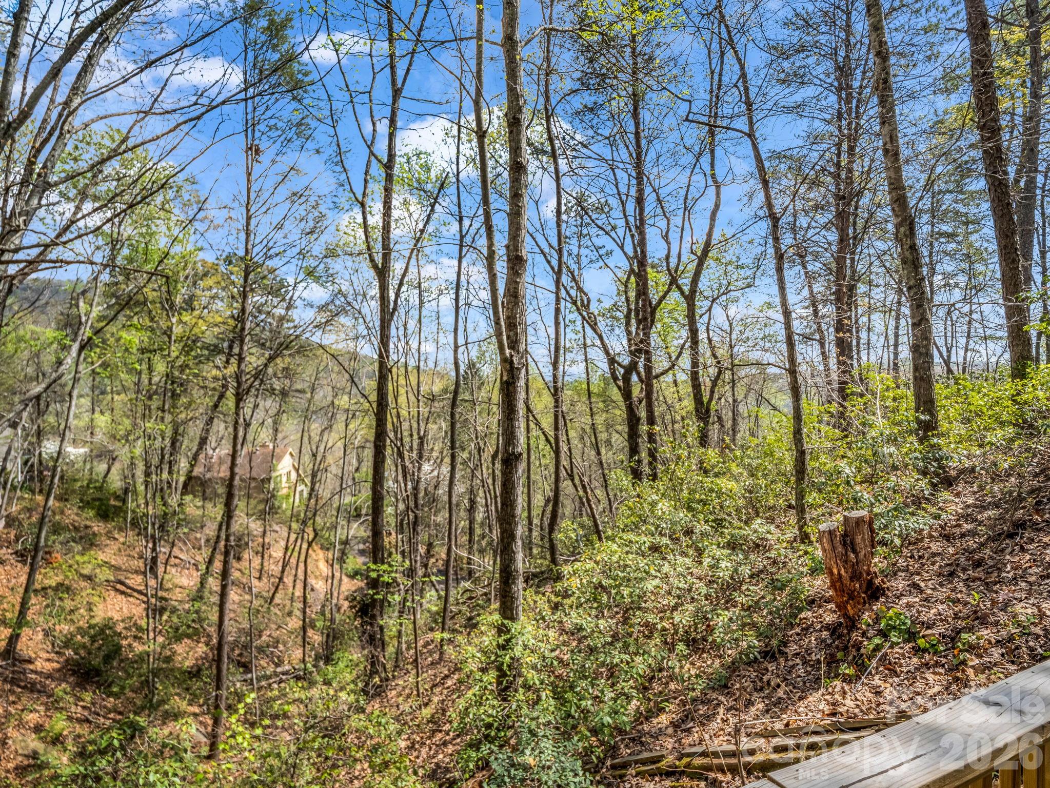 307 Watership Road Lake Lure NC 28746