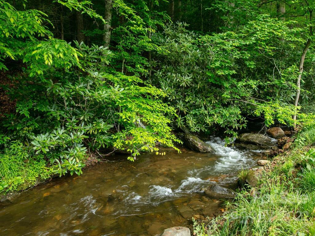 4 Coleman Boundary Road Barnardsville NC 28709