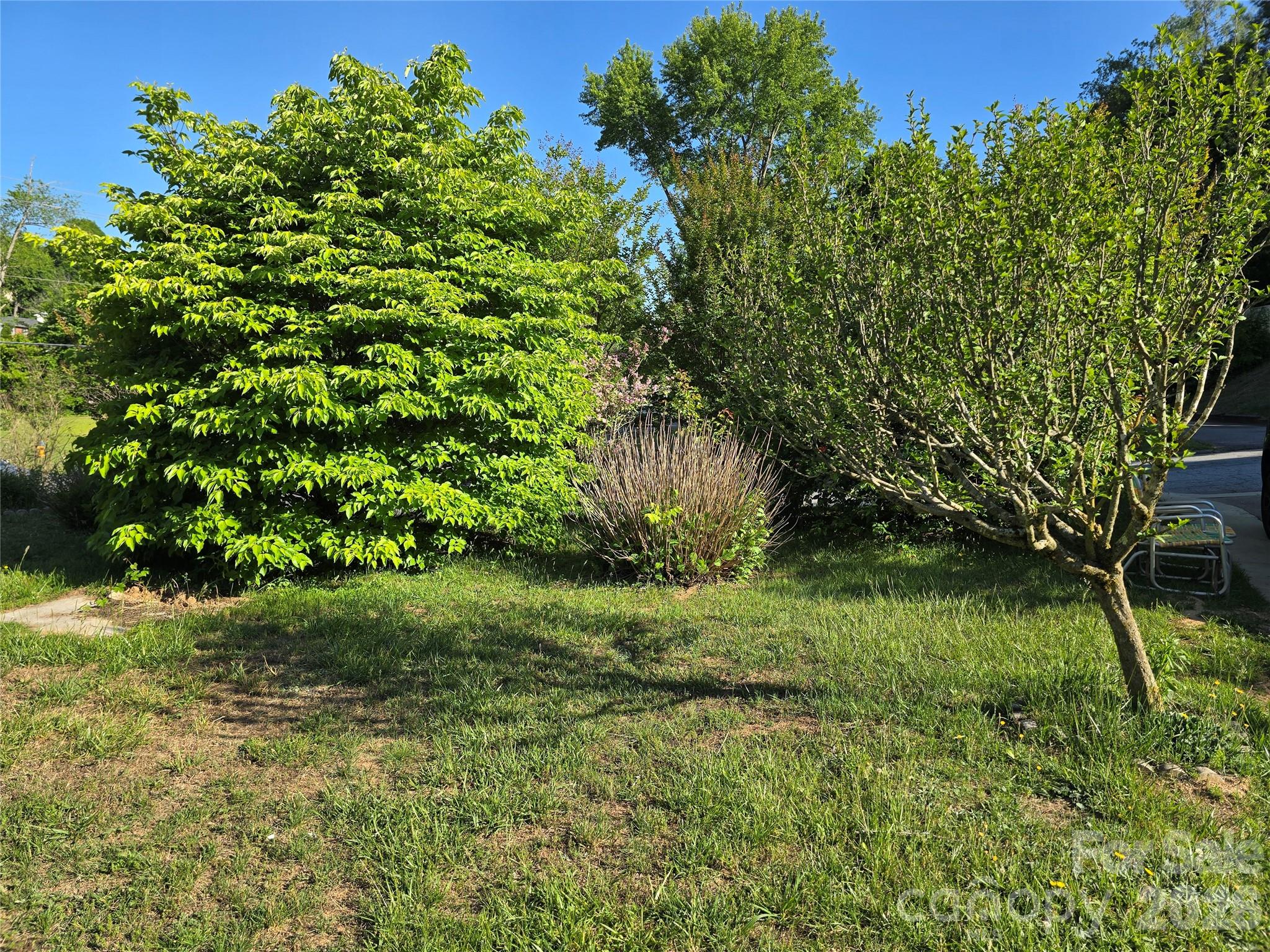 20 Mount Carmel Drive Asheville NC 28806