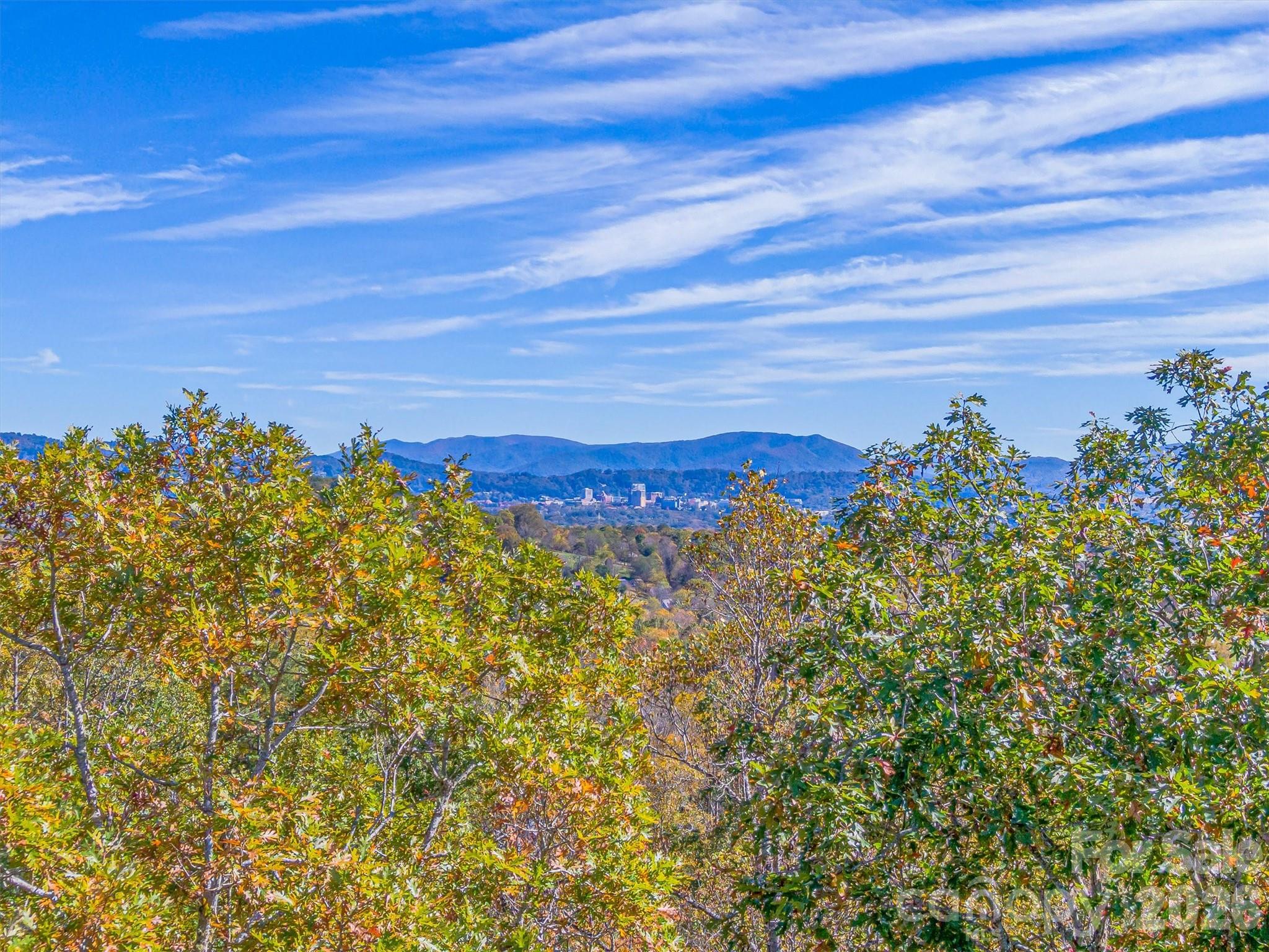 17 Denali Drive Asheville NC 28806