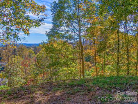 17 Denali Drive Asheville NC 28806