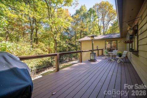 1955 Connestee Trail Brevard NC 28712