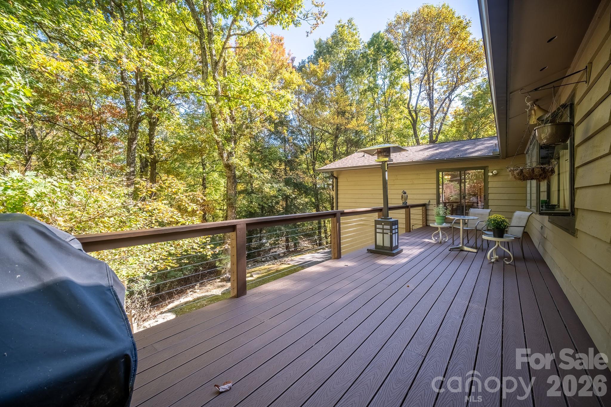 1955 Connestee Trail Brevard NC 28712