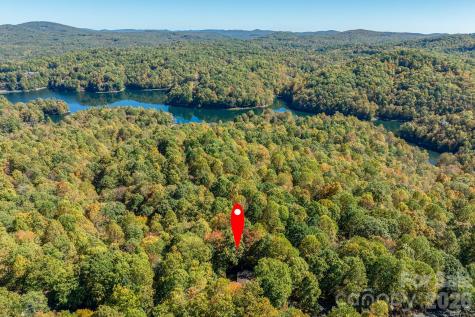 1955 Connestee Trail Brevard NC 28712