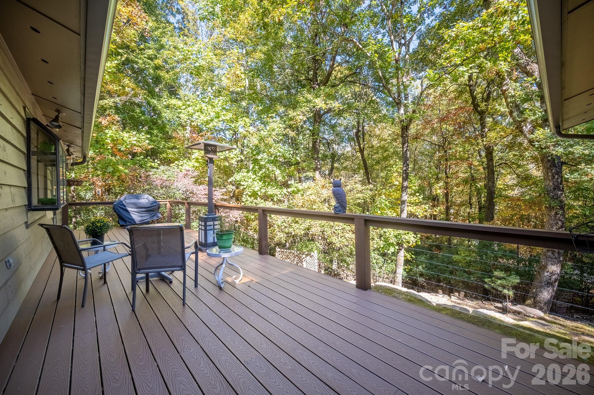 1955 Connestee Trail Brevard NC 28712