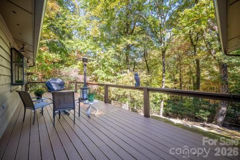 1955 Connestee Trail Brevard NC 28712