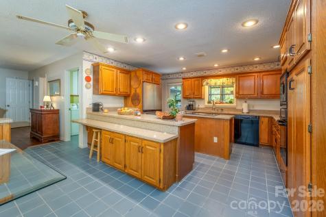 1955 Connestee Trail Brevard NC 28712