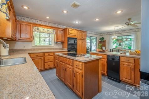 1955 Connestee Trail Brevard NC 28712