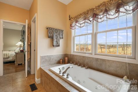 79 Bear Creek Hills Drive Leicester NC 28748