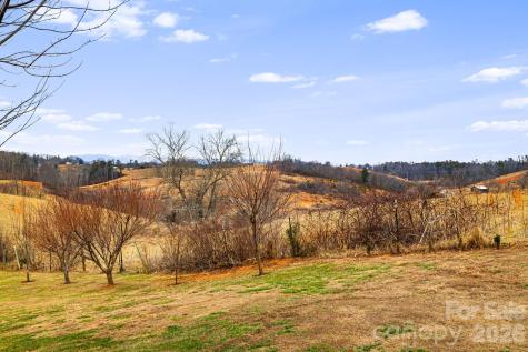 79 Bear Creek Hills Drive Leicester NC 28748