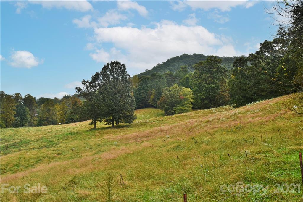 55 Morgan Road Weaverville NC 28787