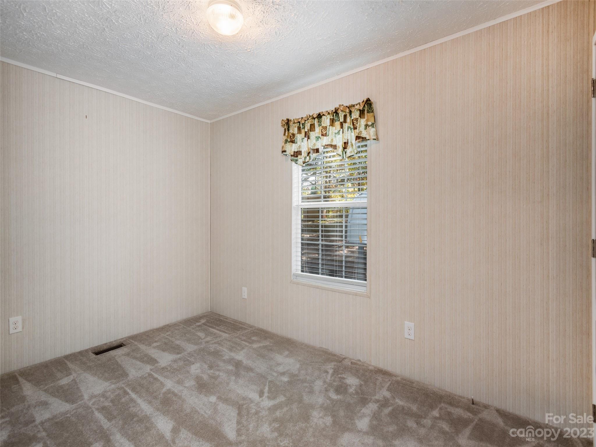 21 Midge Lane Candler NC 28715