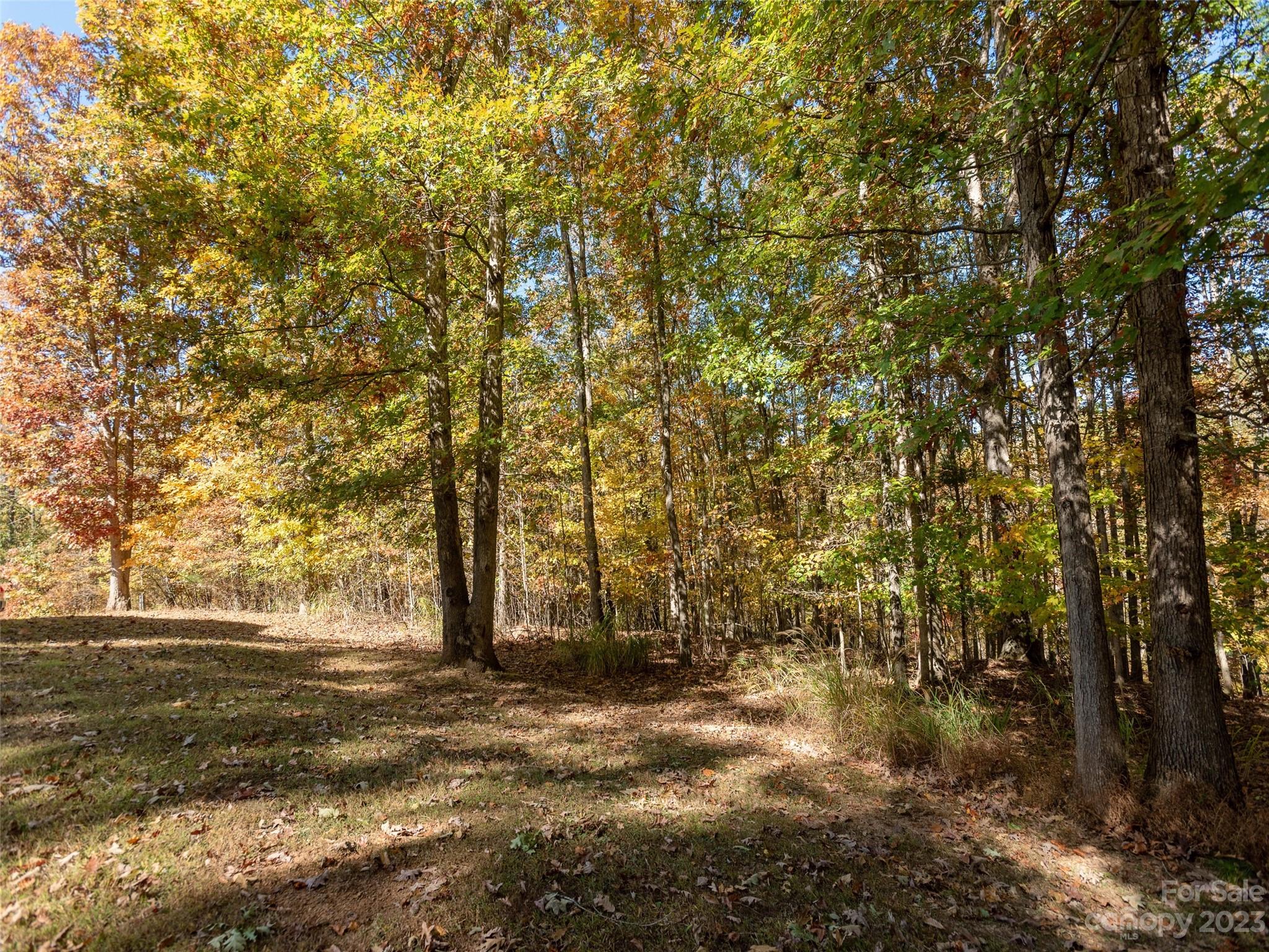 21 Midge Lane Candler NC 28715