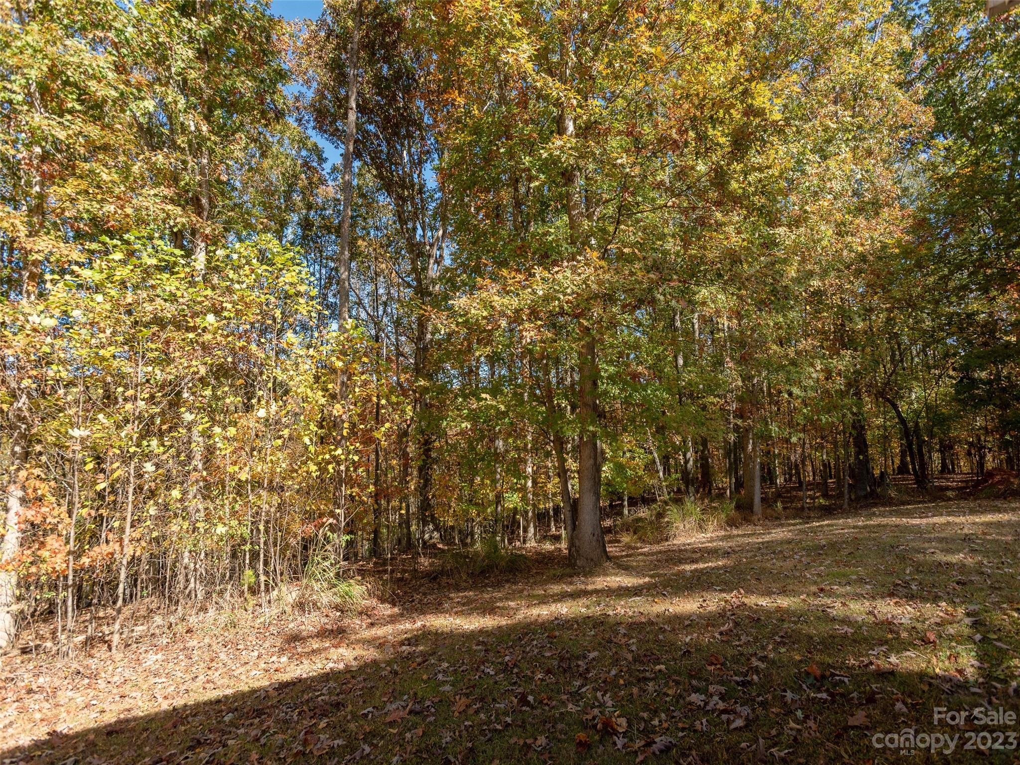 21 Midge Lane Candler NC 28715