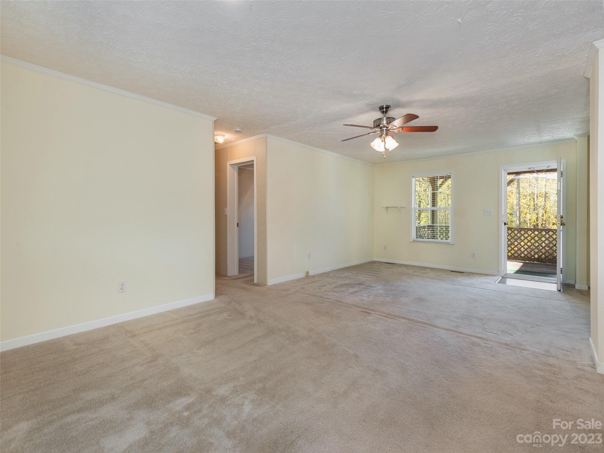 21 Midge Lane Candler NC 28715