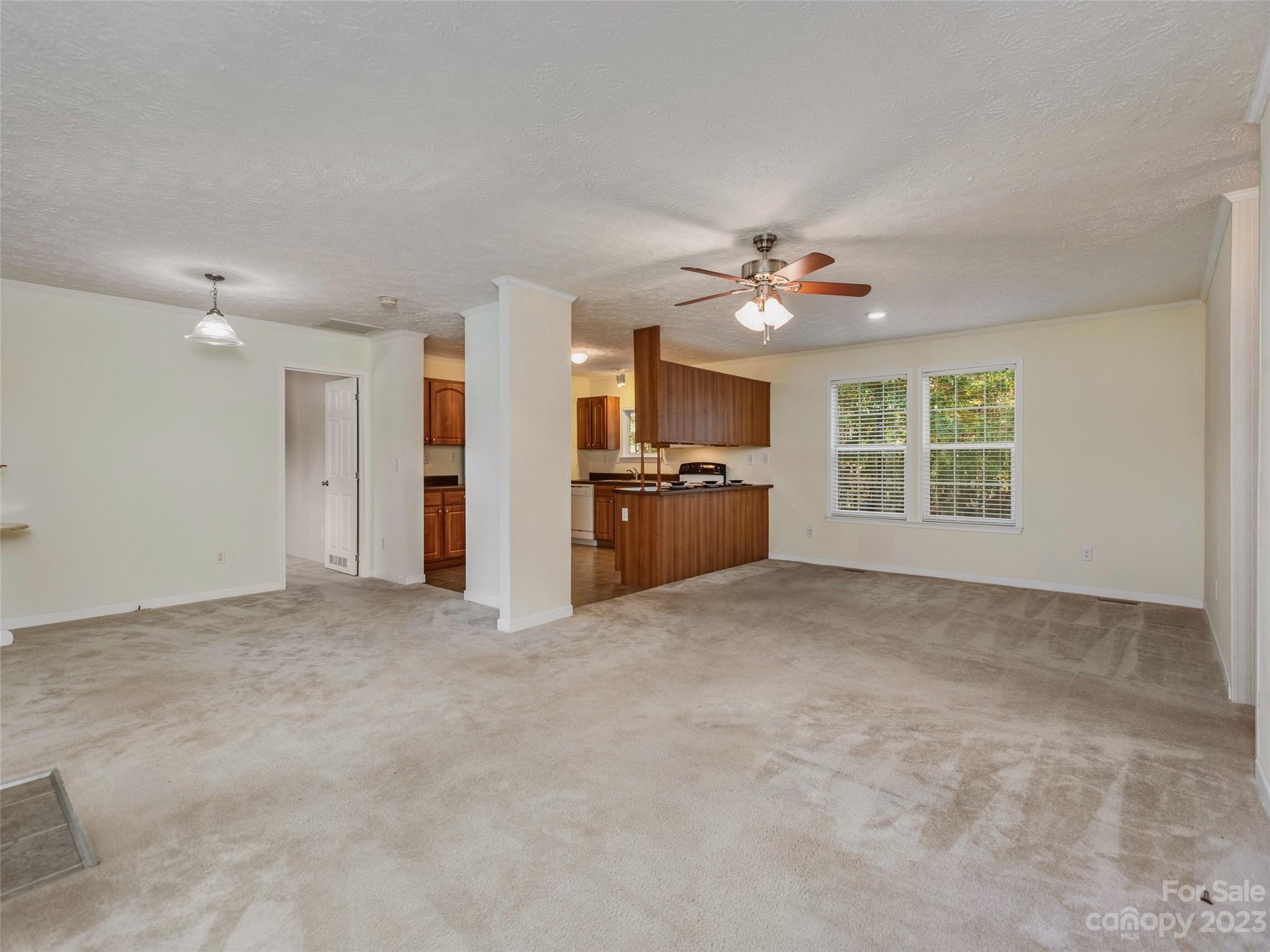 21 Midge Lane Candler NC 28715