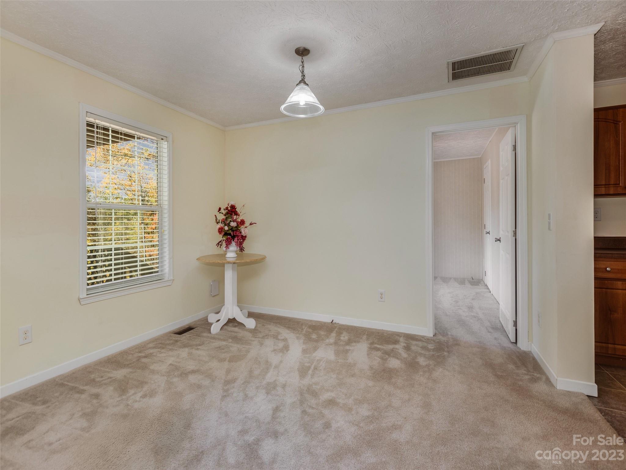 21 Midge Lane Candler NC 28715