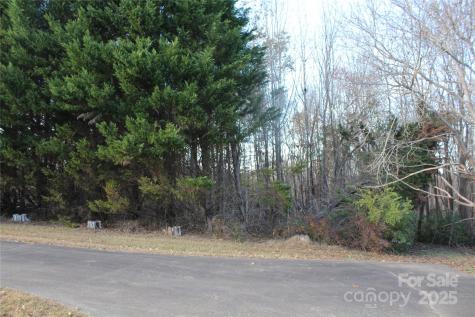 1761 Dearborn Street Extension Morganton NC 28655