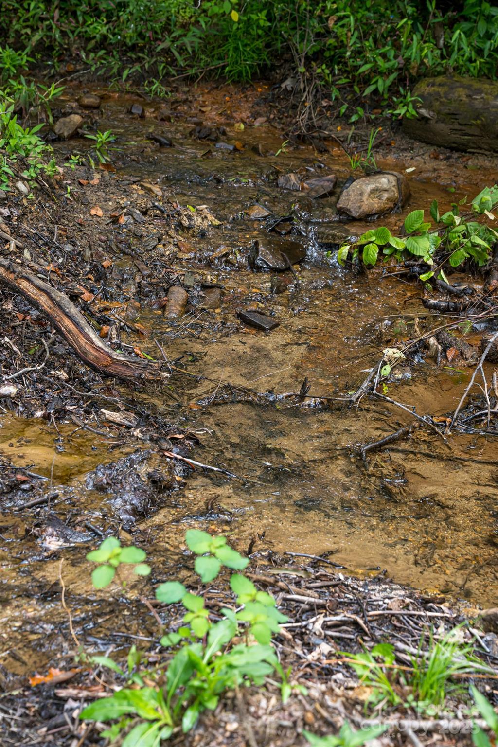 147 Dye Leaf Road Fairview NC 28730