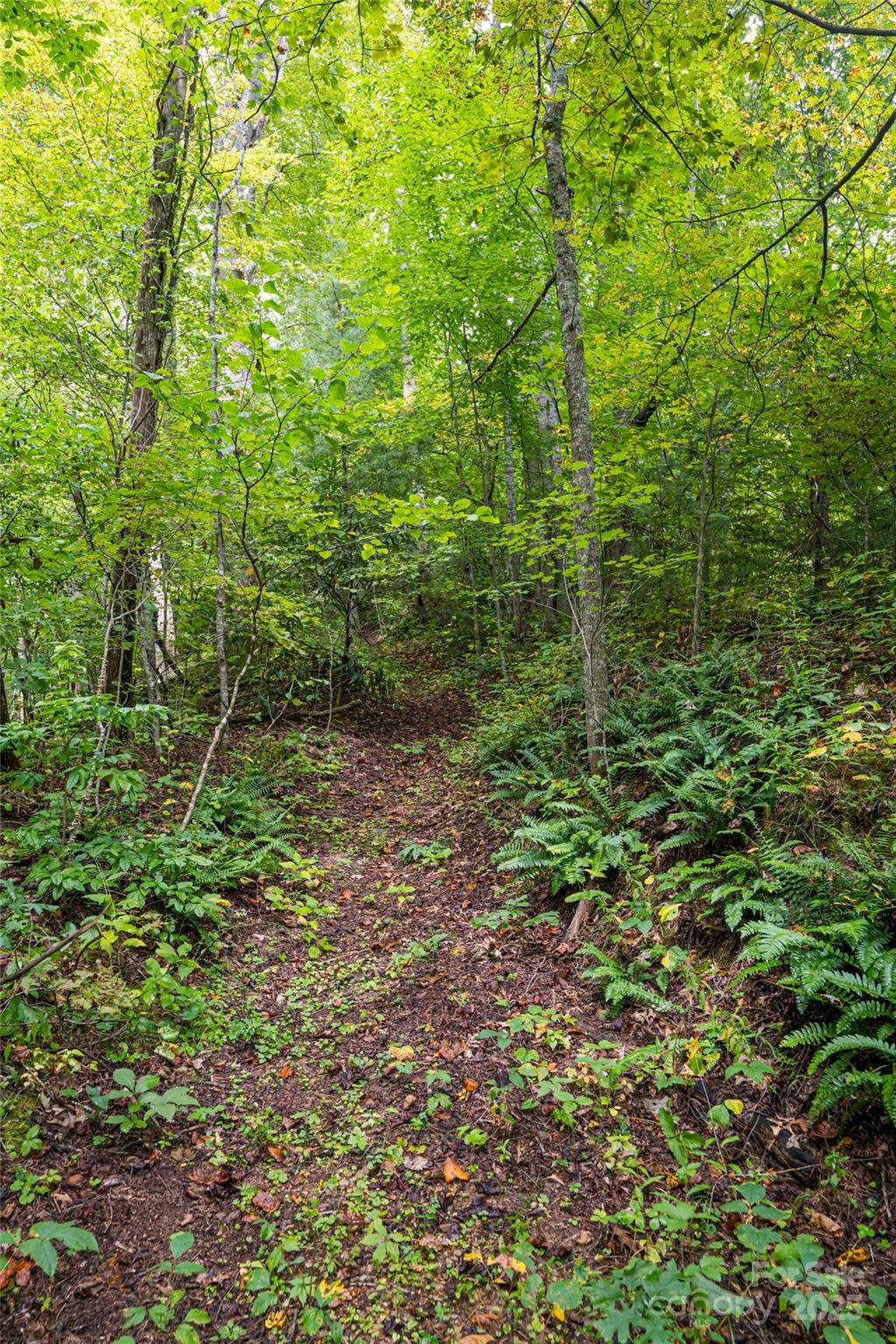 147 Dye Leaf Road Fairview NC 28730