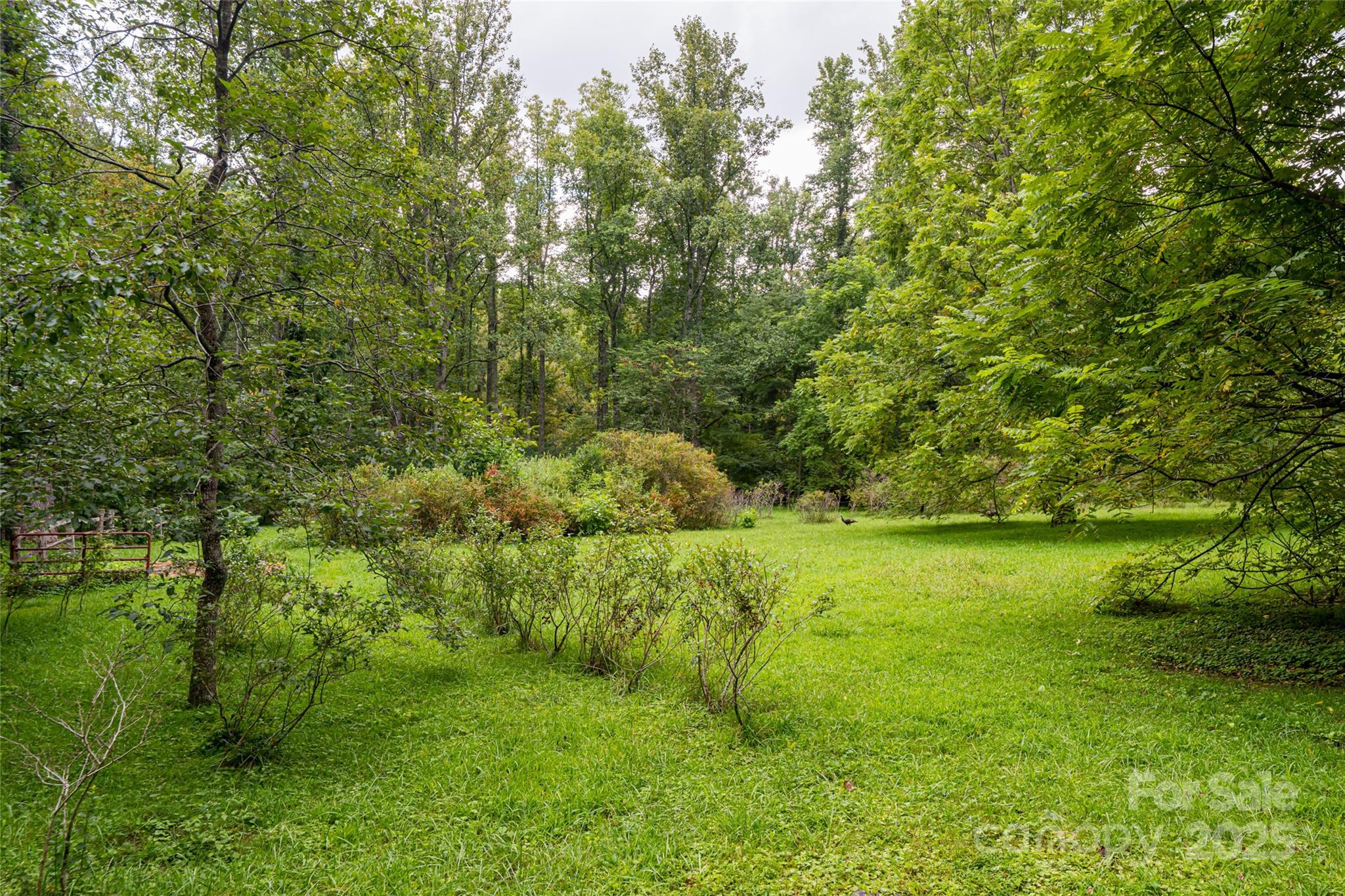 147 Dye Leaf Road Fairview NC 28730