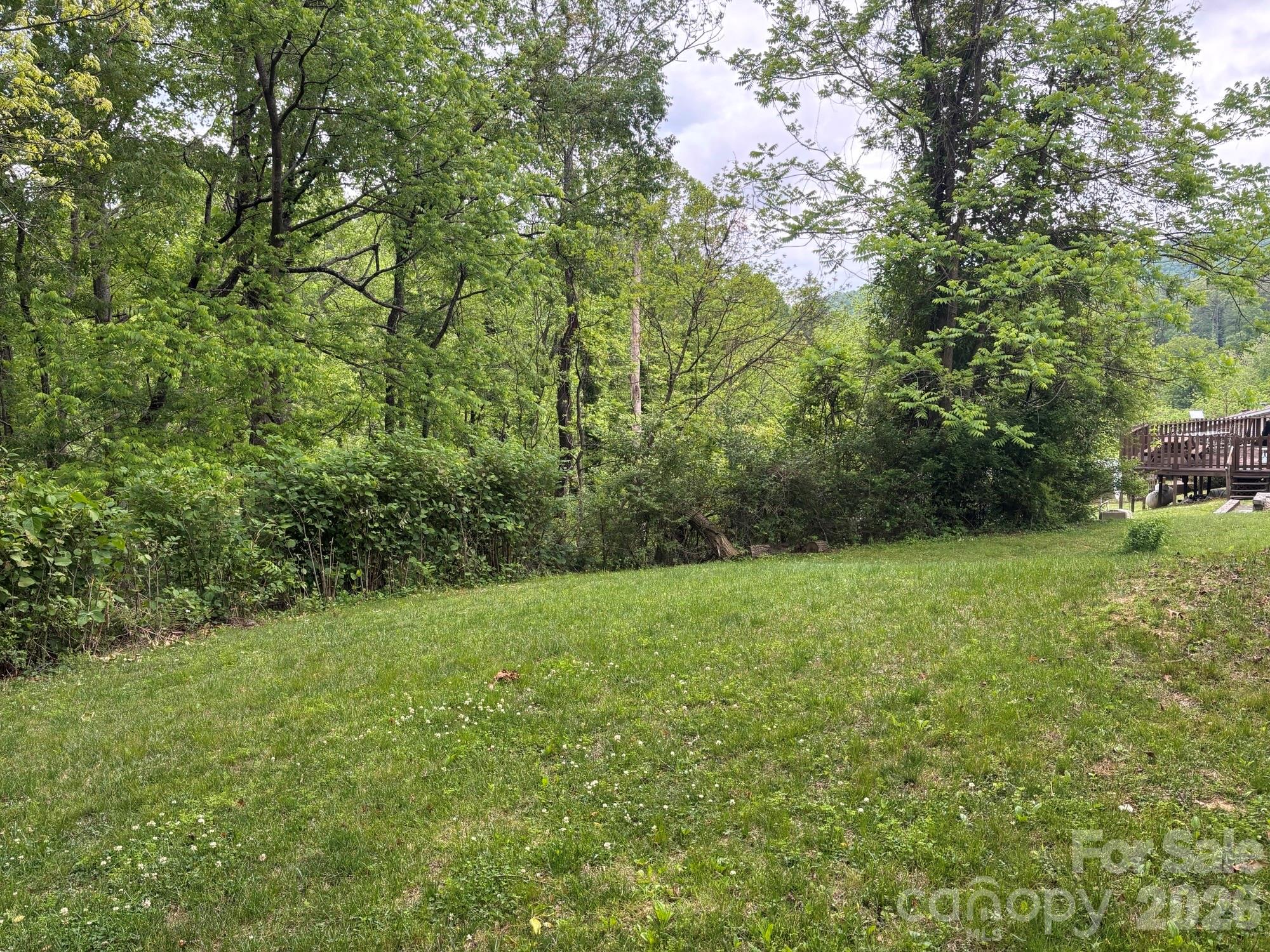 162 Phillips Lane Spruce Pine NC 28777