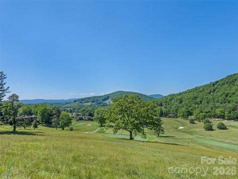 5 Split Creek Court Mills River NC 28759