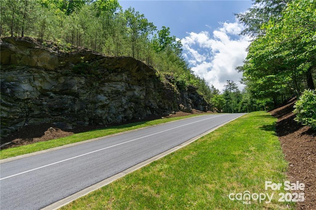 80 Buckhead Trail Horse Shoe NC 28742