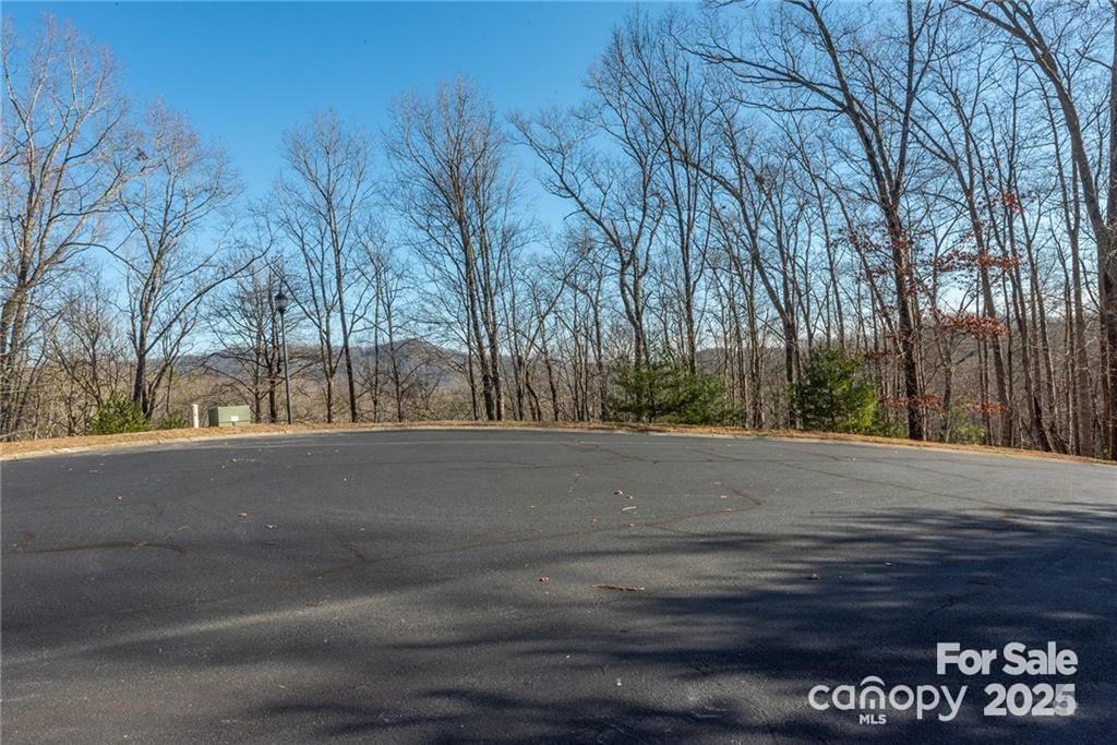80 Buckhead Trail Horse Shoe NC 28742