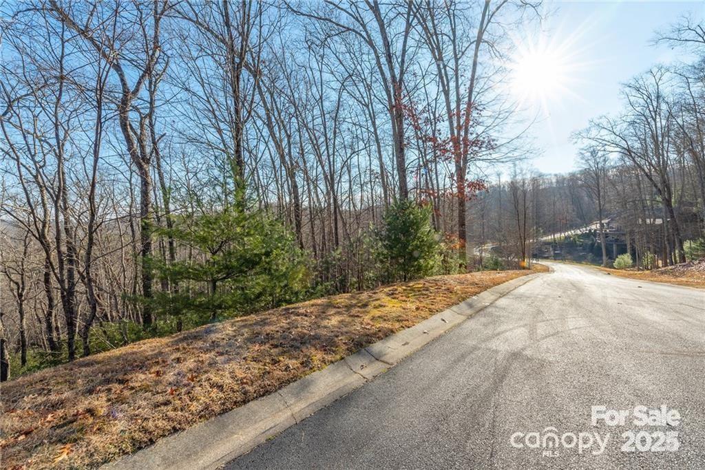 80 Buckhead Trail Horse Shoe NC 28742