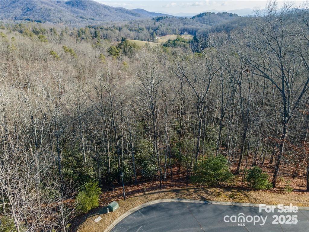 80 Buckhead Trail Horse Shoe NC 28742