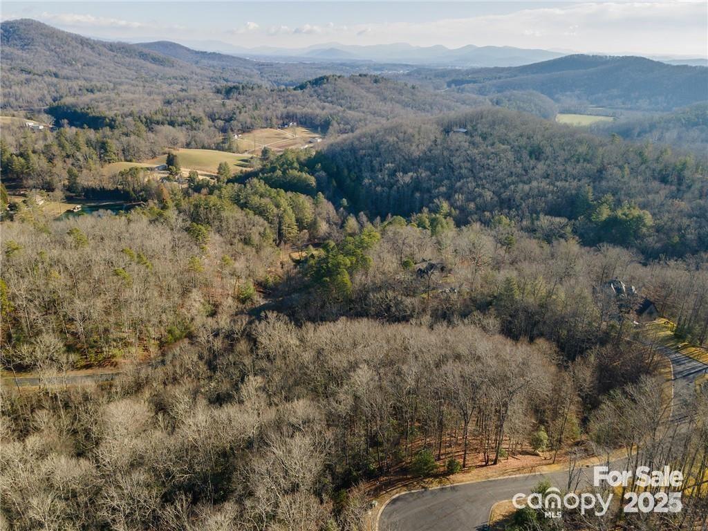 80 Buckhead Trail Horse Shoe NC 28742