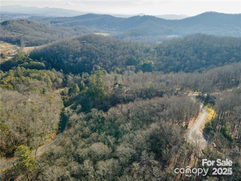 80 Buckhead Trail Horse Shoe NC 28742
