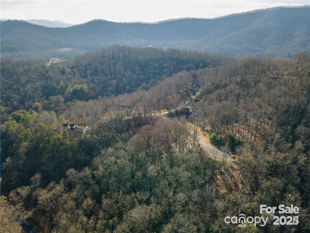 80 Buckhead Trail Horse Shoe NC 28742