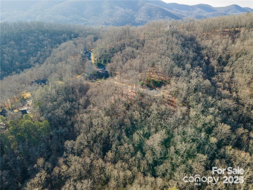80 Buckhead Trail Horse Shoe NC 28742