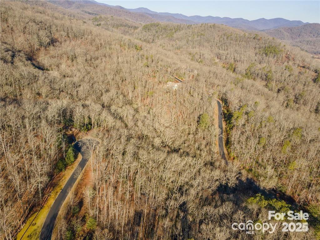 80 Buckhead Trail Horse Shoe NC 28742