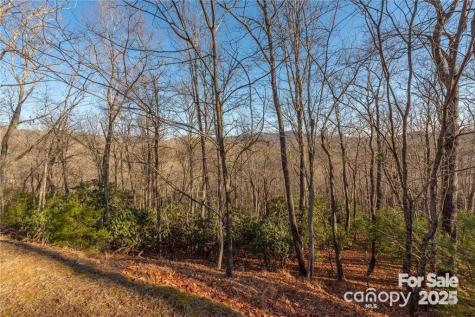 80 Buckhead Trail Horse Shoe NC 28742