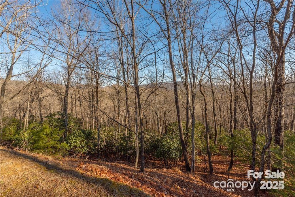 80 Buckhead Trail Horse Shoe NC 28742