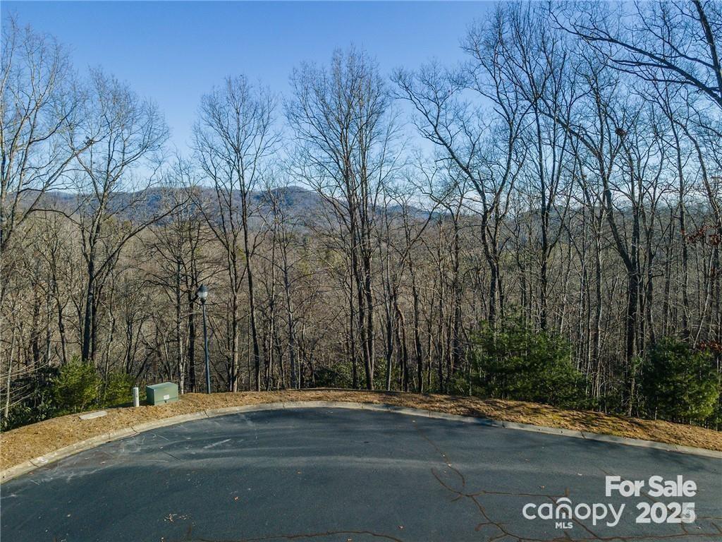 80 Buckhead Trail Horse Shoe NC 28742